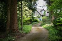 The Loft at Ash Beacon - Gorgeous 2 bed, hideaway in lovely private grounds - Bed and Breakfast Axminster