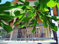 Oaza Kumbor - B&B Kumbor