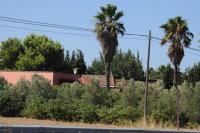 A 6 km da Porto Cesareo, la casa del carrubo - Chambres d’hôtes