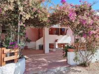 Alghero Guest House, Oasi tra gli Ulivi con Piscina e Fresche Suites in Seminterrato - Ferienwohnung Alghero