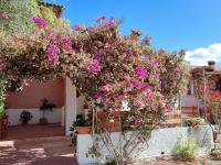 Alghero Guest House, Oasi tra gli Ulivi con Piscina e Fresche Suites in Seminterrato - Chambres d'hôtes Alghero
