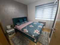 Deluxe One-Bedroom Apartment