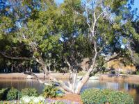 716 Queens Grant - Ferienwohnung Hilton Head Island