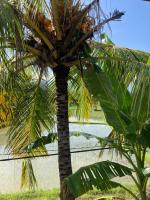 Standaard Tweepersoonskamer met 1 of 2 Bedden en Airconditioning