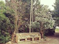 Alla Torre - B&B Galatone