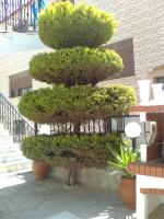 Villa Dina 1 - B&B