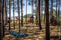 Domki Letniskowe Swornegacie - grill klimatyzacja WiFi monitoring - Bed and Breakfast