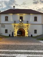 Studio - CLASSIC - - B&B Alba Iulia