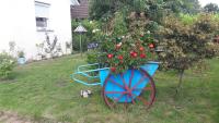 Ferienbungalow FeWo Eutin Süsel Sierksdorf Strand Ostsee - B&B