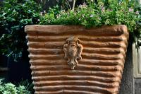 ProtoDomus - B&B Bronte