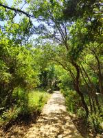 Love Frequency - יורט קסום במתת - B&B Mattat