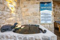 מלכה בעתיקה - B&B