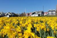 Iris Strandhus - B&B