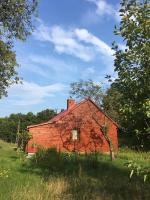 Wiejski domek w środku lasu Osłowo Mielnik - Bed and Breakfast