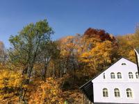 UBYTOVÁNÍ u BRABANTÍKA - B&B