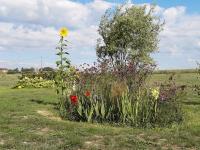 Gîte La Besse, Claudon - Ferienwohnung Claudon