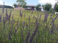 Sami Green House - Ferienwohnung Banoštor