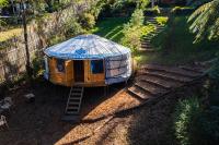 Purling Brook Falls Gwongorella - B&B Springbrook