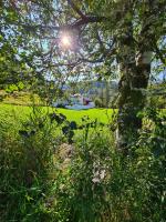 Jondal Nice apartment with bed linen incuded - B&B Jondal