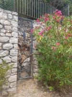 Amazing Villa seafront on Circeo Mountain - Chambres d'hôtes San Felice Circeo