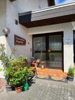 Fewo Klingelhöfer - B&B Willingen