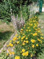 Cookies Old House Visoko - B&B Visoko