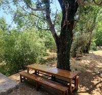 Gîte Camping Amazigh - B&B Azrou