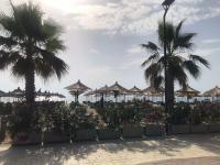 Studio Apartament - B&B Golem