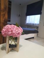 super apartment пр. Кирова (А.Поля) г.Днепр - B&B