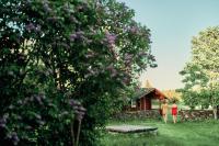 Matsi cottage - B&B Igaküla