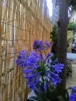 La casa di Anna - Bed and Breakfast Patti