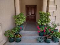 Luxury Home Cetinje - B&B Cettigne