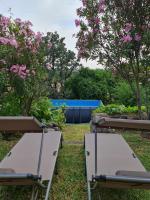 Casa Rural en Candeleda con piscina y un maravilloso jardín - Chambres d'hôtes Candeleda
