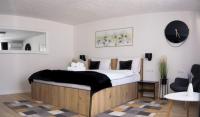 Habitación Deluxe con cama extragrande