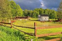 B&B Borzynowo - Domek z Sauną i balią jakuzii w głuszy - Bed and Breakfast Borzynowo