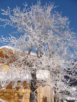 Apartamento con terraza 