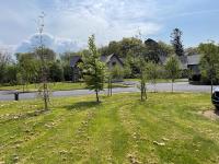 No 2 Ardnagashel Woods - B&B