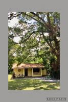 Recanto da Floresta - Casa de campo em Secretário - B&B Petrópolis