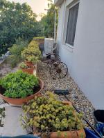 Stone Guest House - Chambres d'hôtes Split