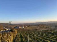 Le Petit Cesar - B&B Hautvillers