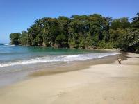 Pachamama Jungle River Lodge - Punta Uva - B&B