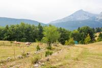 Vista Pitomine - B&B Zabljak