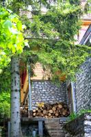 Lili's Lovely Log Home in the Forest - B&B