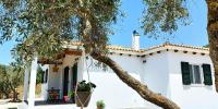 Lily Home_Lefkada ~ Private Country house - B&B Kondáraina