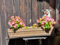 Ferienwohnung im Seidlerhof mit Balkon und Garten - B&B Röhrnbach