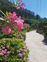 Casa Nonna Anna - B&B Maiori