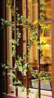 AmoRoma Suite - B&B Rome