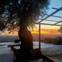 Il colle degli ulivi - B&B San Calogero