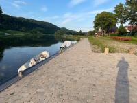 Haus an der Weser - 24/7 Check-In - B&B Heinsen