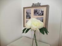 Amarillo Sun - B&B Corralejo